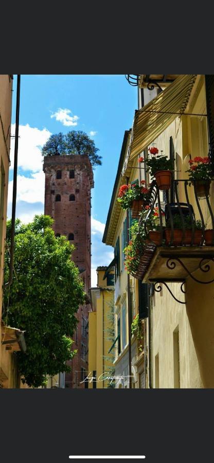 Casa Luba Otel Lucca Dış mekan fotoğraf